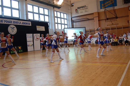 Obrázek v galerii