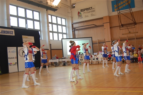 Obrázek v galerii