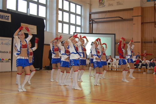 Obrázek v galerii