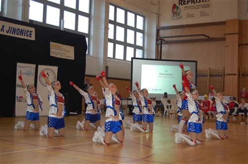 Obrázek v galerii