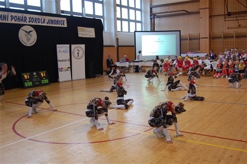 Obrázek v galerii