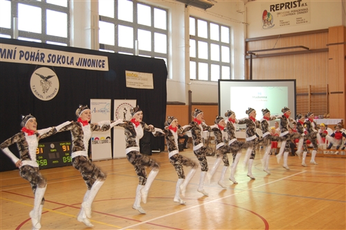 Obrázek v galerii