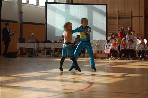 Obrázek v galerii