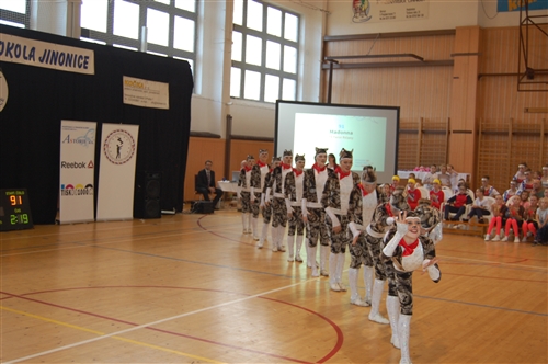 Obrázek v galerii