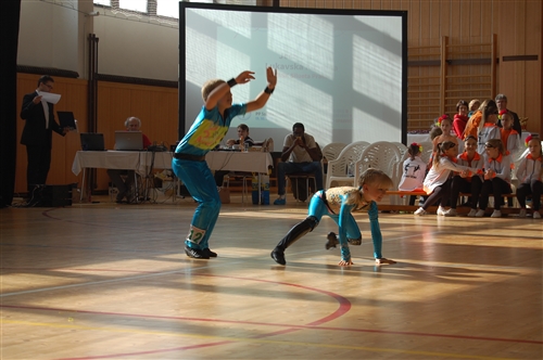 Obrázek v galerii