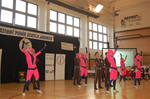 Obrázek v galerii