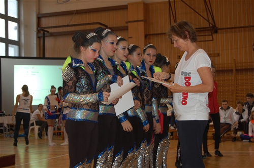 Obrázek v galerii