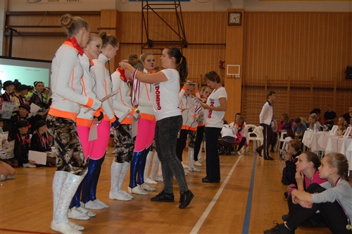 Obrázek v galerii