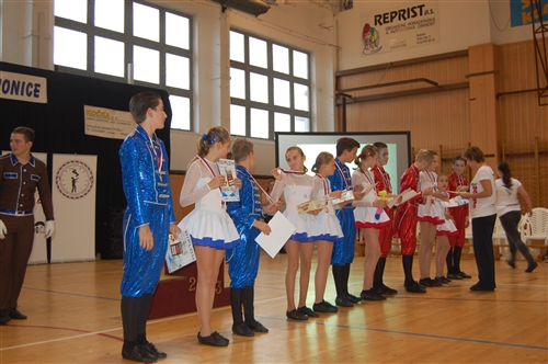 Obrázek v galerii
