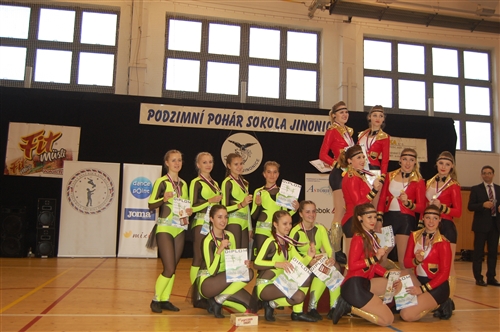 Obrázek v galerii
