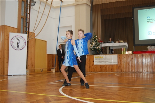 Obrázek v galerii