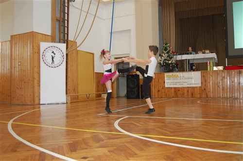 Obrázek v galerii