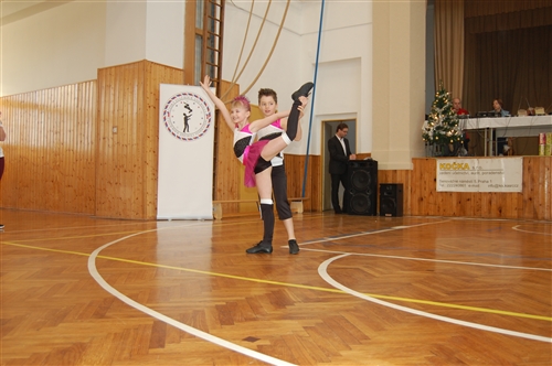Obrázek v galerii