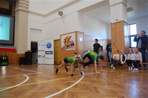 Obrázek v galerii