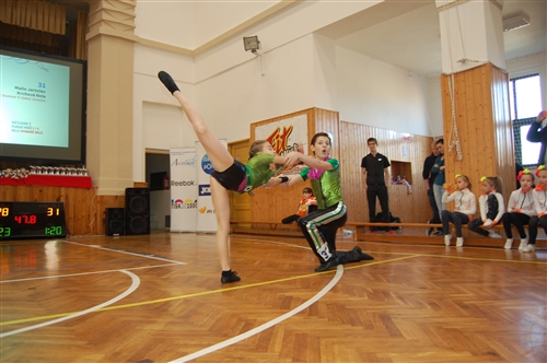 Obrázek v galerii
