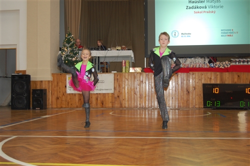 Obrázek v galerii