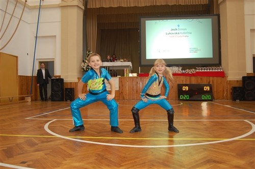 Obrázek v galerii
