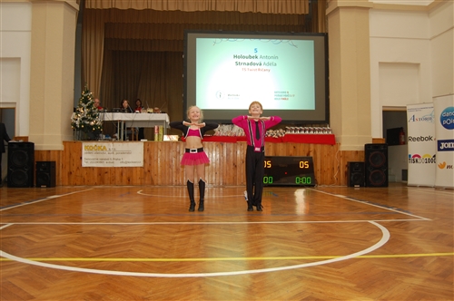 Obrázek v galerii