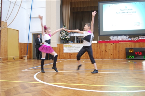Obrázek v galerii