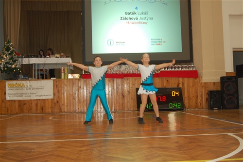 Obrázek v galerii