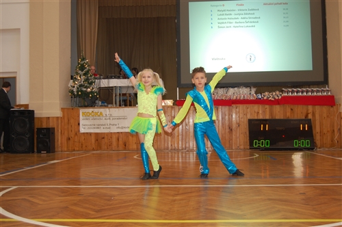Obrázek v galerii