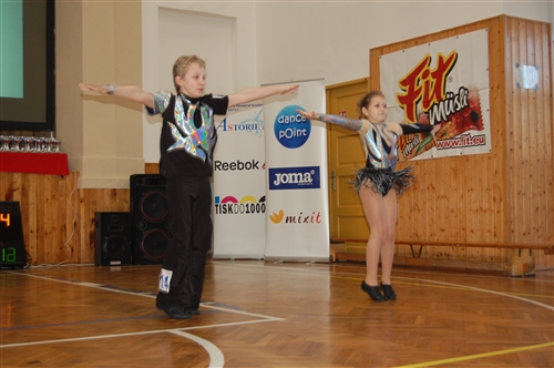 Obrázek v galerii