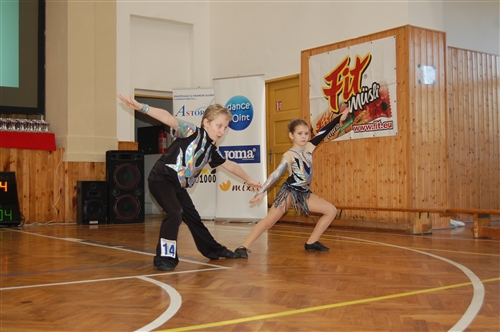 Obrázek v galerii