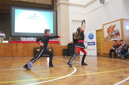 Obrázek v galerii