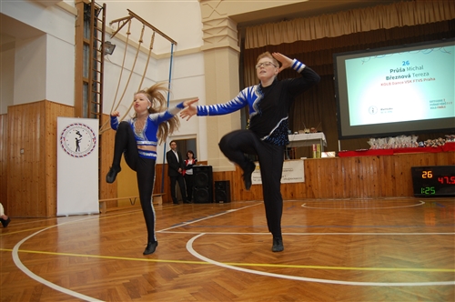 Obrázek v galerii