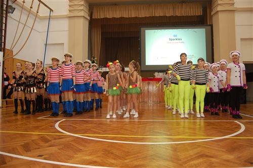 Obrázek v galerii