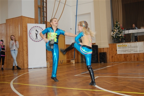 Obrázek v galerii