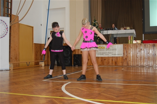 Obrázek v galerii