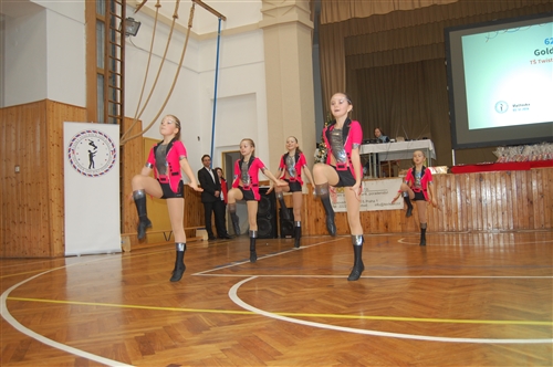 Obrázek v galerii