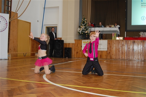 Obrázek v galerii