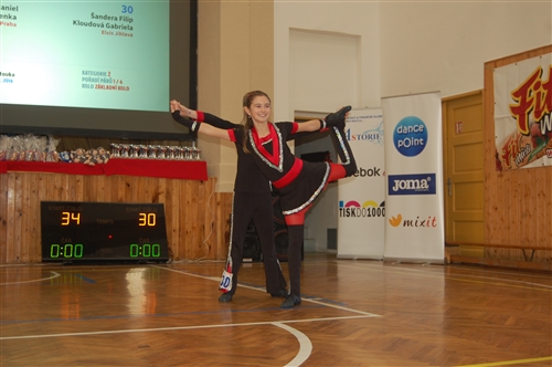 Obrázek v galerii