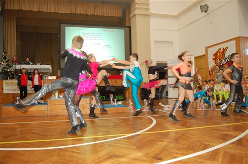 Obrázek v galerii