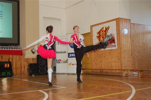 Obrázek v galerii