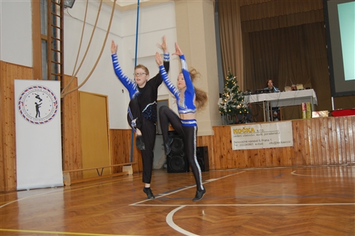 Obrázek v galerii