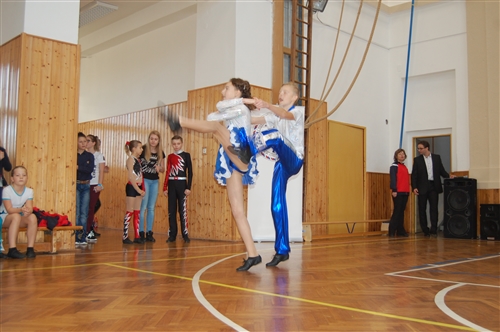 Obrázek v galerii
