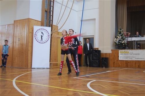 Obrázek v galerii