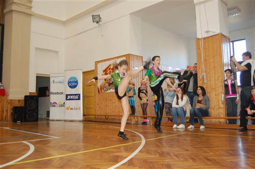 Obrázek v galerii