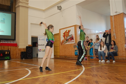 Obrázek v galerii