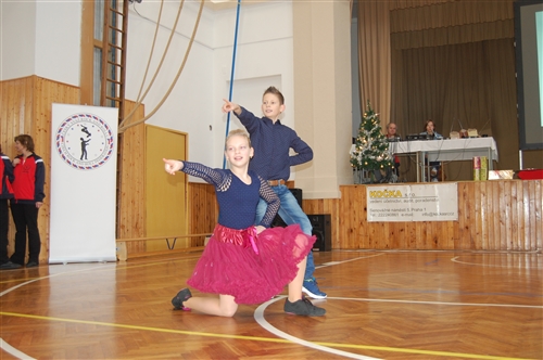 Obrázek v galerii