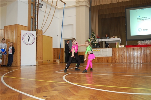 Obrázek v galerii