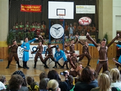 Obrázek v galerii