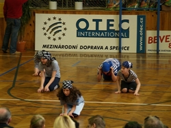 Obrázek v galerii