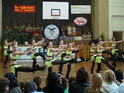 Obrázek v galerii