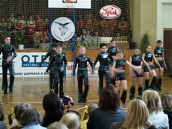 Obrázek v galerii