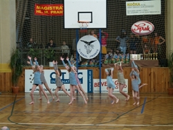 Obrázek v galerii