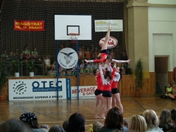 Obrázek v galerii